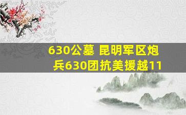630公墓 昆明军区炮兵630团抗美援越11
